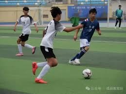 2026年世界杯D组完整名单与赛程解析